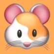 西瓜视频免费APP应用