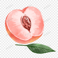 WWW,sesehu·COM网站APP最新版