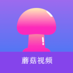 WWW,se411·COM网站APPAPP应用